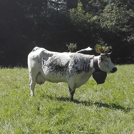 Mobilhome Convivial En Alsace * Munster (Haut-Rhin)