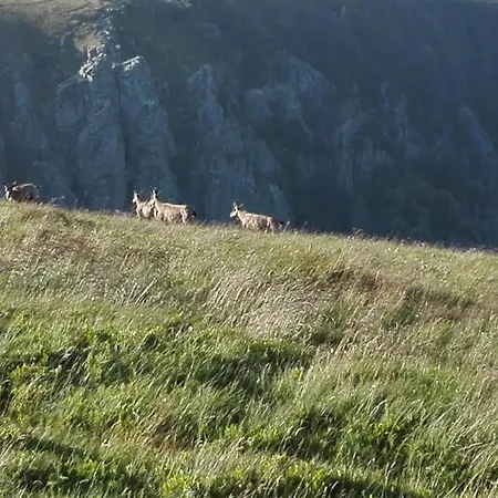 Mobilhome Convivial En Alsace *