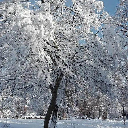 Mobilhome Convivial En Alsace *