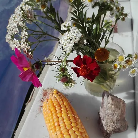 Camping Mobilhome Convivial En Alsace Munster (Haut-Rhin)