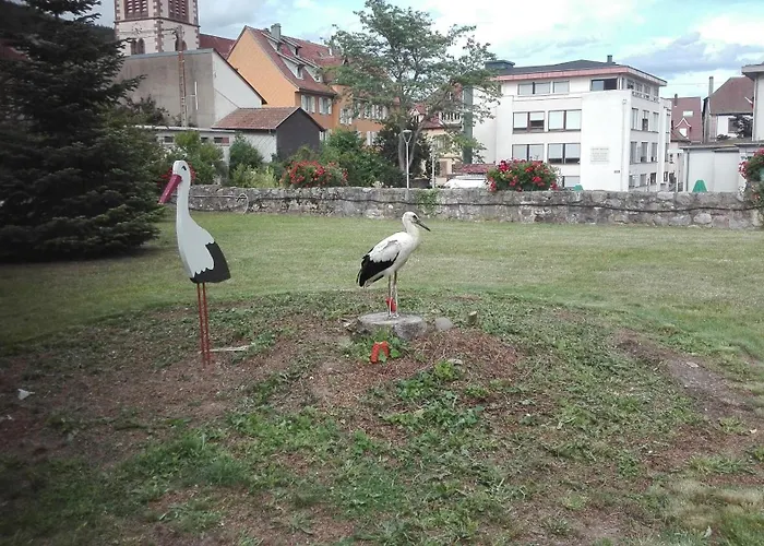 Mobilhome Convivial En Alsace Camping Munster (Haut-Rhin)